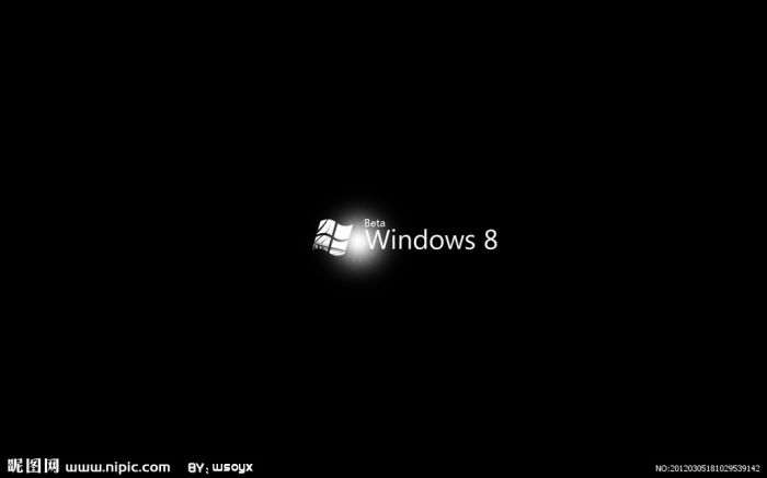 win8ֽ   