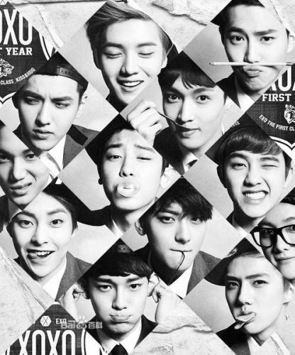 exo12˺ձֽ ֽEXOרλ׶1212űֵֽ