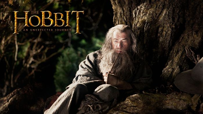 ŷԭ޷ֽ_2014¿ ŷʱ ԼٴѧԺ ԭ޸ӡTŮ