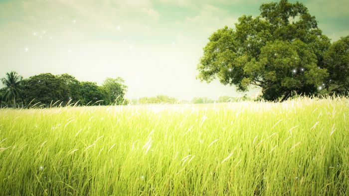 Ψ⾳ֽ Ψ⾳ͼƬ·һη羰