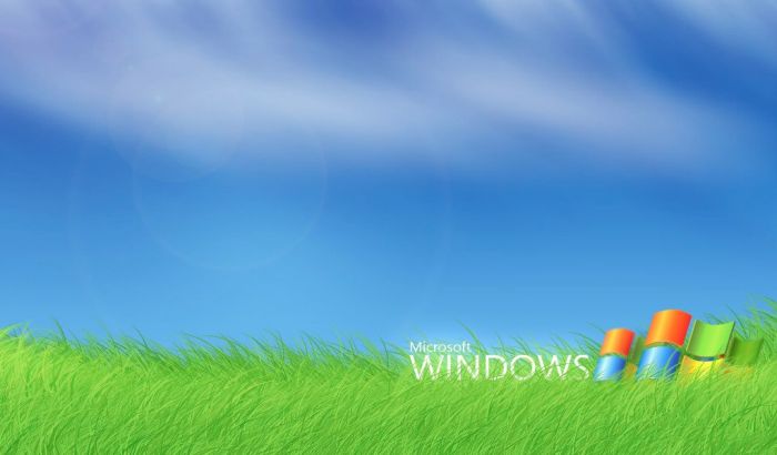 xpֽ ͼ㾭windowxpͼƬڶˣ