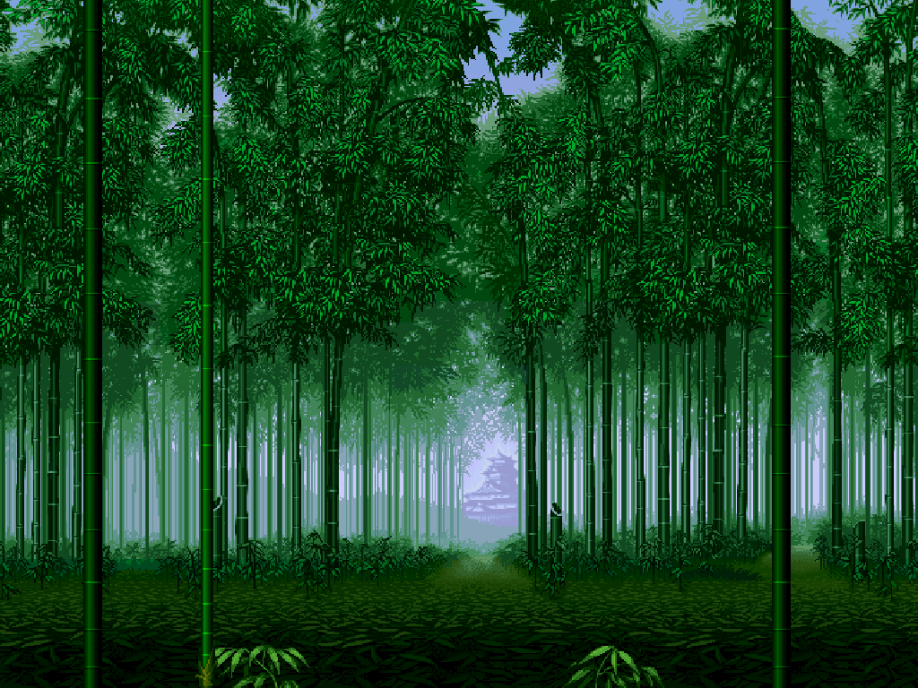 ֽ̬ ѡÿĶѩȻ羰ֽأ2