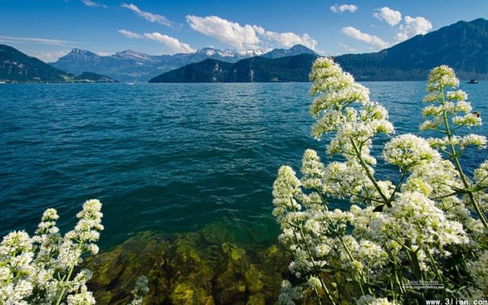 ŷ޷羰ֽ_ŷ޷羰ͼƬĪظ