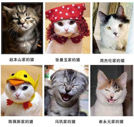 _ 2008 ռǽ 080415 ƹռǱϻŮ