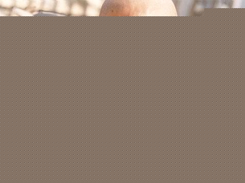 Ӱȫ 