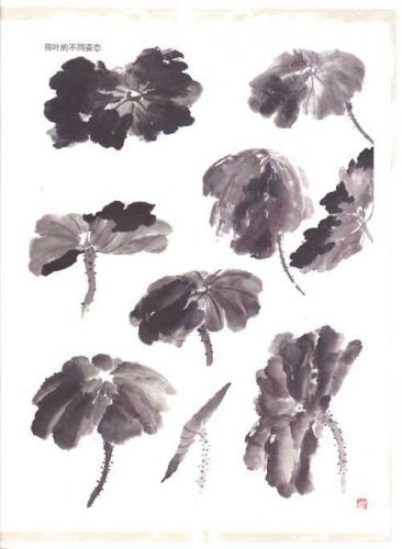 ˮīɻ ɻ˴ ˮī(ͼ)