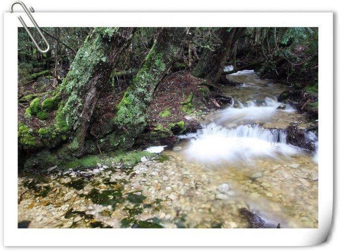 󵺸̳ εɫĴйʲôʱʼһģ