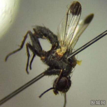 麣ػ񺣻Ӭ 麣ػ񺣻Ӭ ýͨ-麣