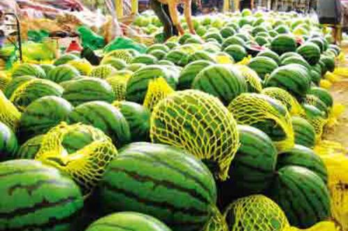 Ϊ1ëǮ1Сʱ СΪ1ëǮ1Сʱ 󱨾[]