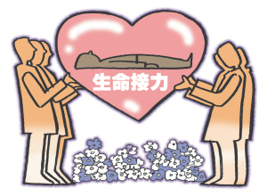 پָ׷ йײپָϷ ֹͣʹ