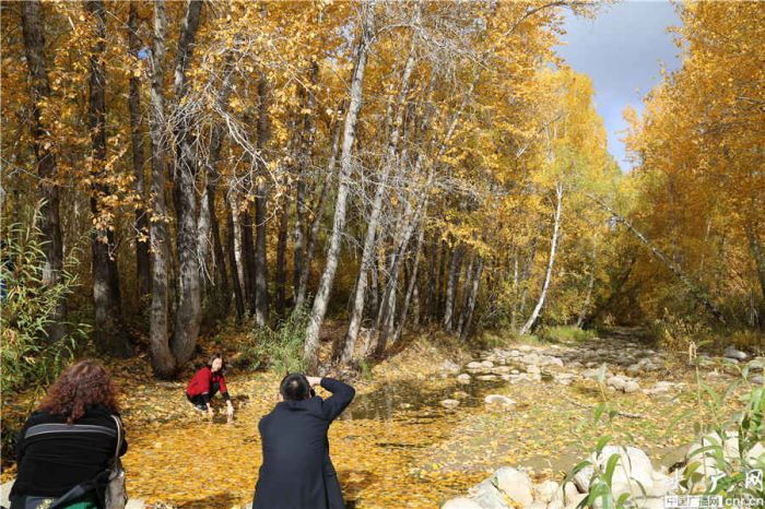 ½ֹ̩԰ ½ 3A ½Сǰ̩ξܣһ