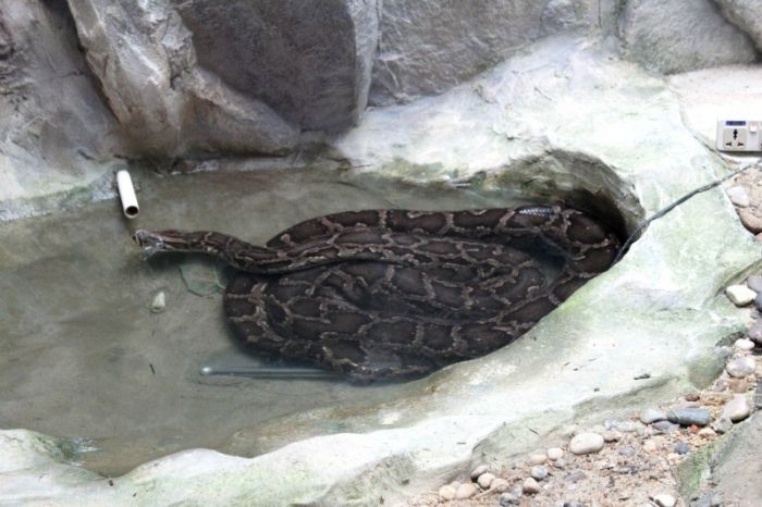 ڶȳǹ ڶȳ湥Ըг̰ 