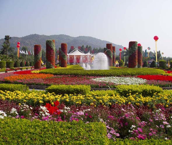 ൺι԰ٶ  תൺ֮ ıһ 