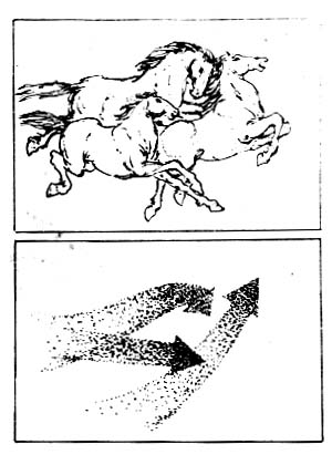 ƽƹͼ 人ƽѵ_Ųƽҵ